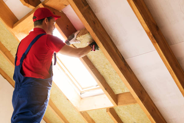 Best Eco-Friendly or Green Insulation Solutions  in Brighton, CO